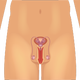 Illustration for article titled How to Make Your Penis More substantial From Residence - Organic Male Improvement Procedures For Rookiesem/em